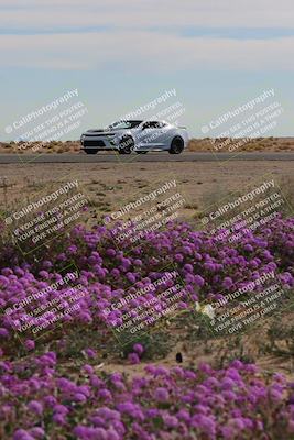 media/Jan-08-2023-SCCA SD (Sun) [[8f6a5b9391]]/Advanced Group/Session 2 (Short Straight)/